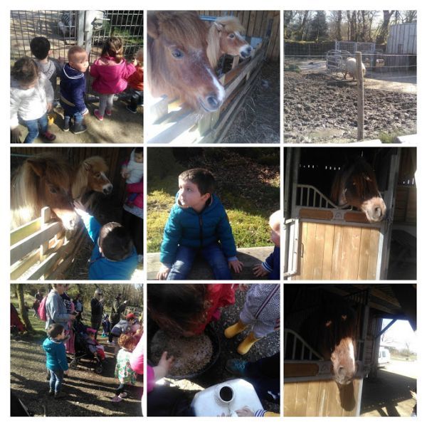 IMG_20180418_101300-COLLAGE